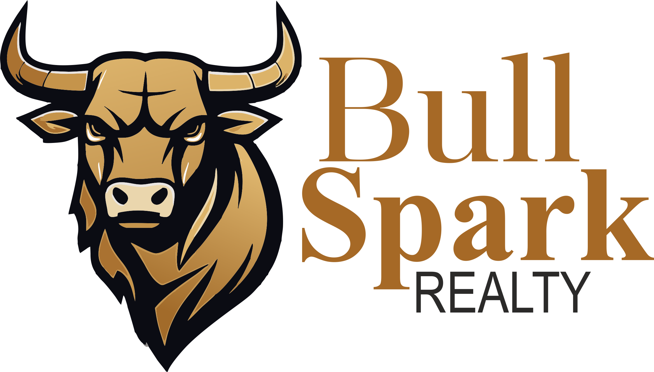 Bull Spark Realty Logo